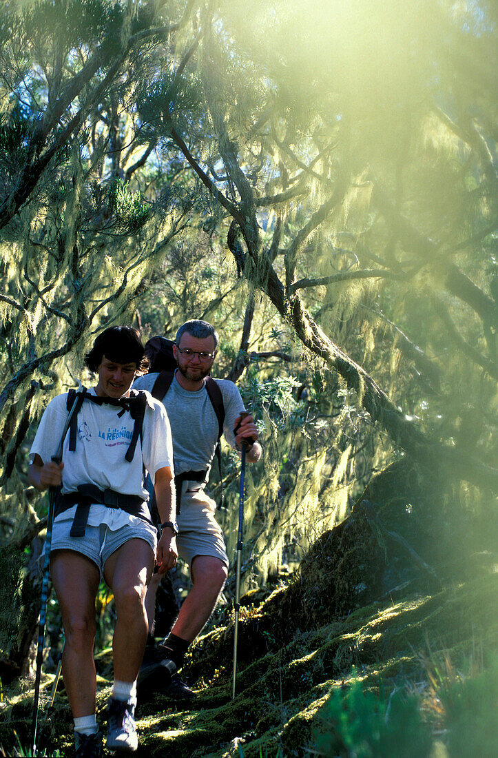 Descent of Piton de Neige, Cilaos, Ille de la Réunion Indian Ocean