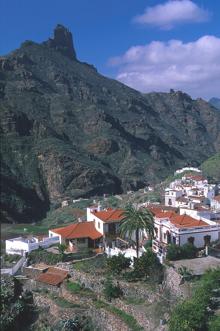 Roque Bentaiga 1404m, , Tejeda, @ Gran Canaria, Kanarische Inseln, Spanien