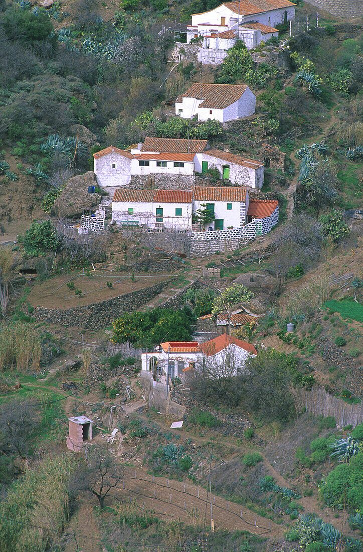El Rincón, bei Artenara, Gran Canaria, Kanarische Inseln, Spanien