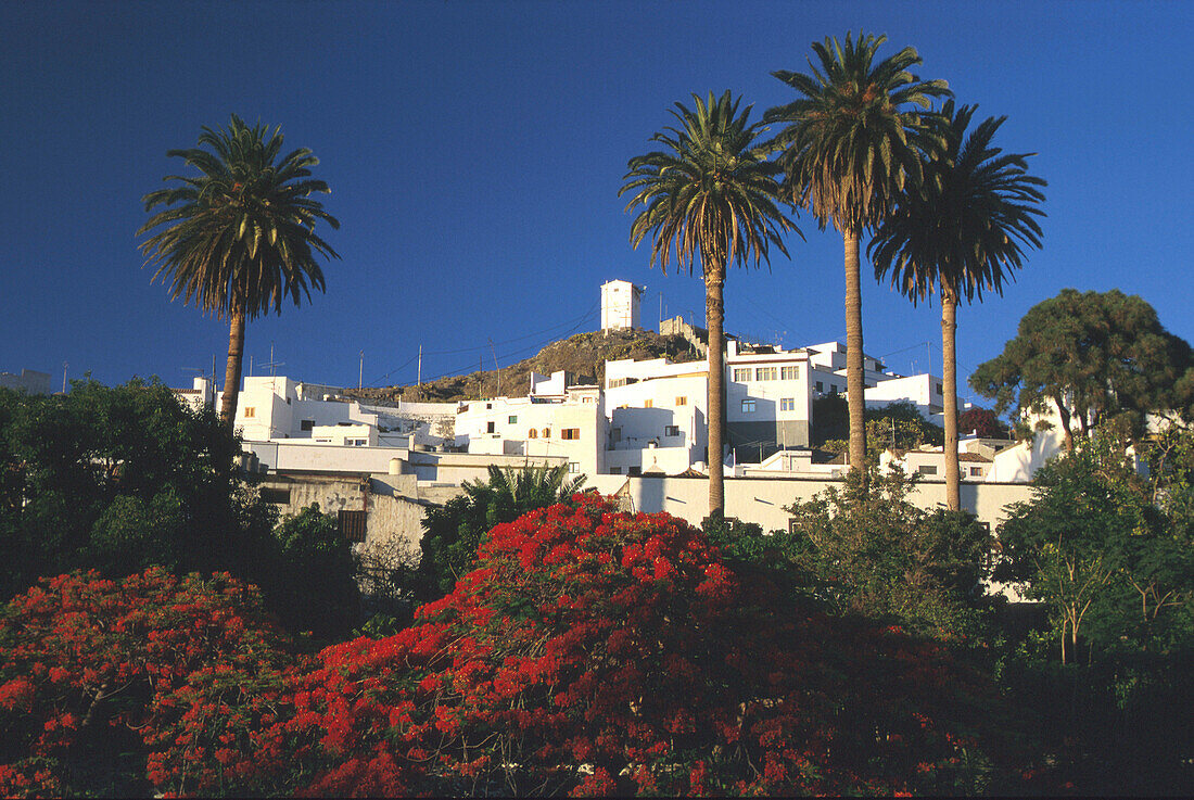 Agaete, Botanischer Garten, Gran Canaria, Kanarische Inseln, Spanien