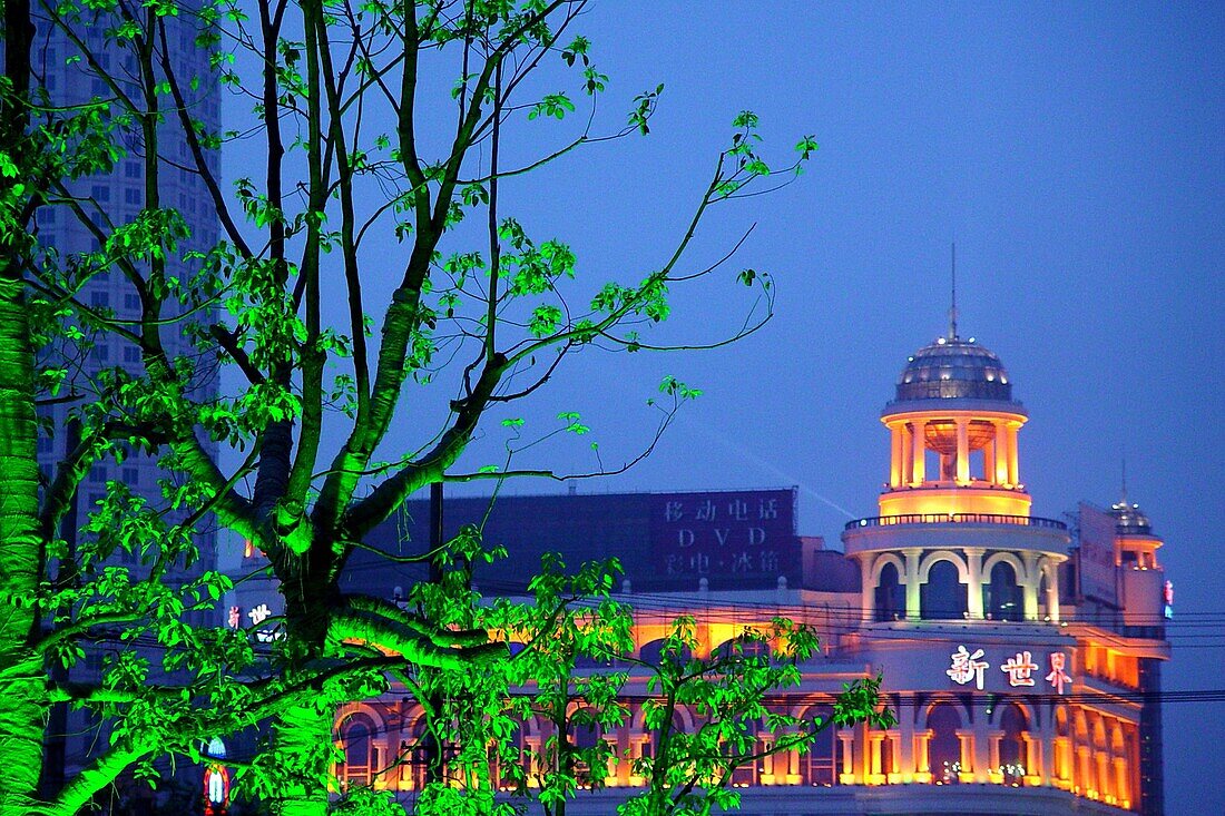 Tree and illuminated building in the evening, Shanghai, China, Asia