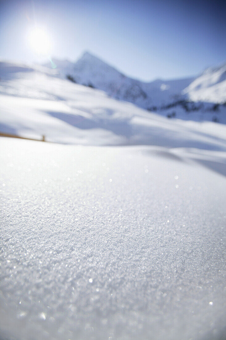 Fresh snow, Kuhtai, Tyrol, Austria