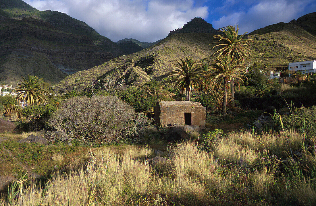 Altes Haus, Palmen, Bergkulisse, El Risco bei Agaete, Gran Canaria Kanarische Inseln, Spanien