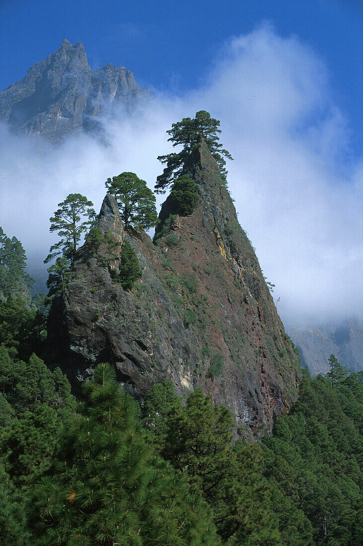 Roque del Huso im Krater, NP Caldera de Taburiente La Palma, Kanaren, Spanien