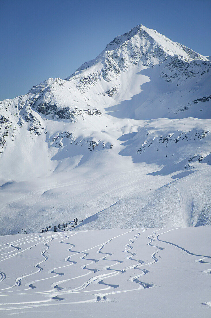 Skiing tracks in powder snow, Kuehtai, Gaiskogel, Tyrol, Austria