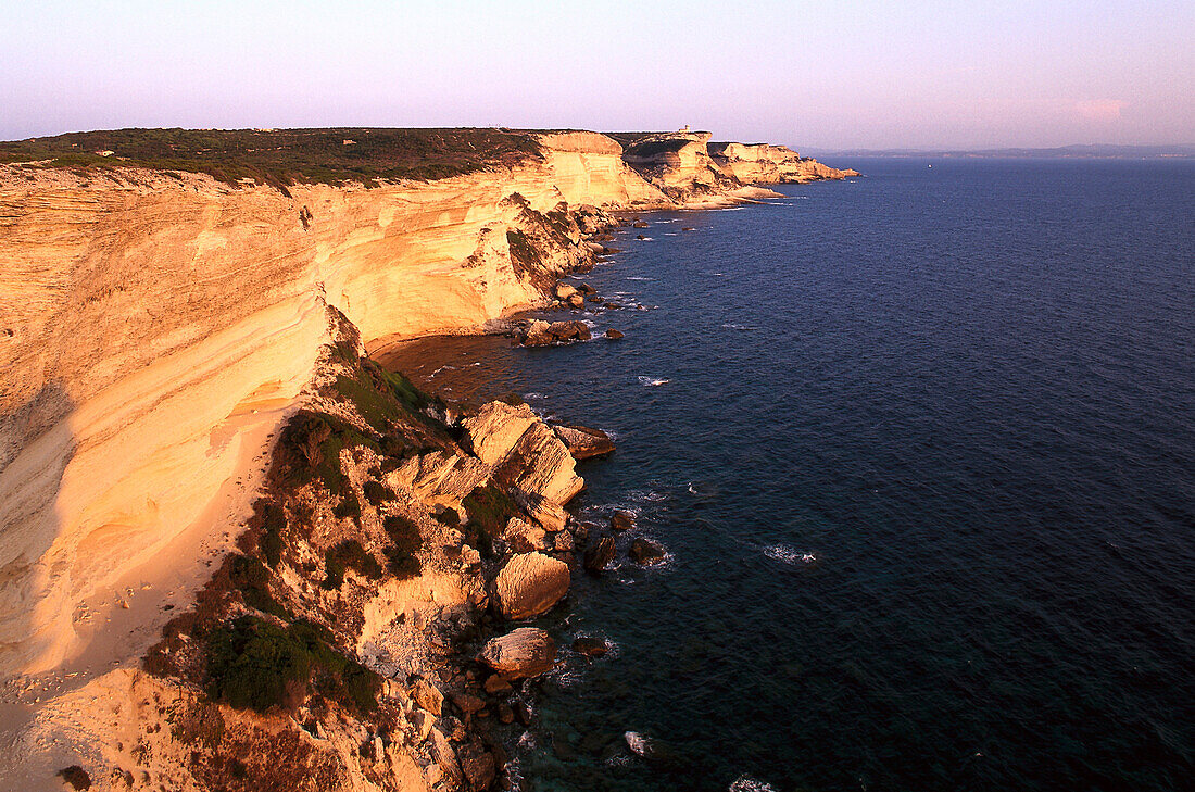 Falaises, Kliffe von Bonifacio am Abend, Korsika, Frankreich