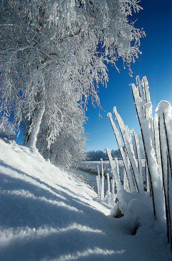 Winterlandschaft, Münsing, Bayern, Deutschland