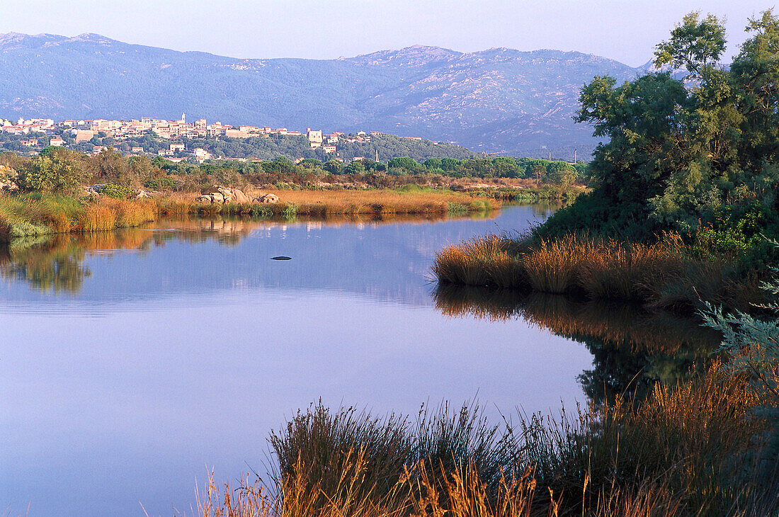 Stadtbild, bucht, Porto Vecchio, Korsika, Frankreich