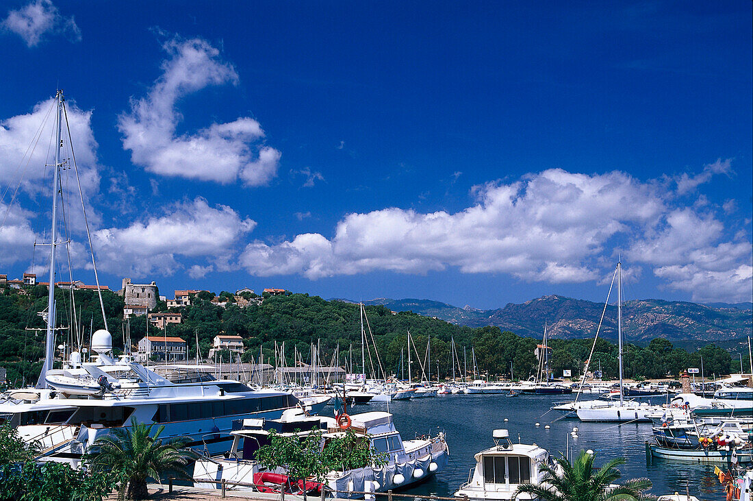 Yacht harbour, Porto Vecchio, Corsica, France