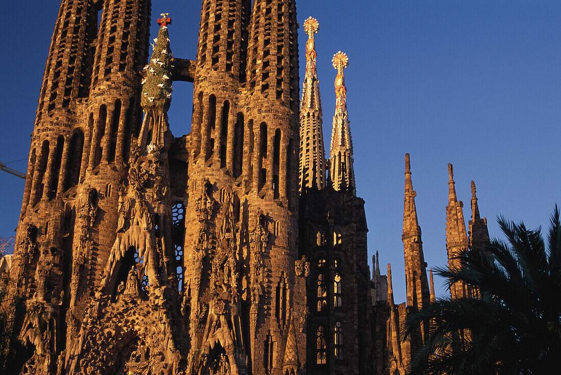 Close up of church spires, La Sagrada Familia, from A. Gaudi, Barcelona, Catalonia, Spain