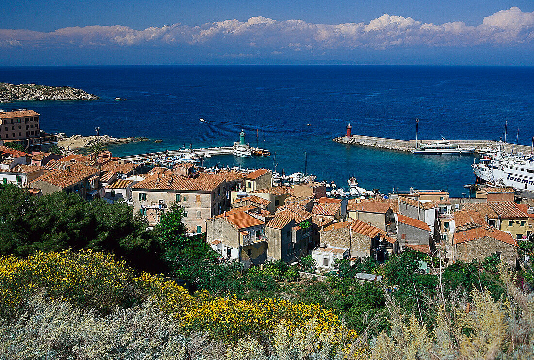 Hafen von Giglio Porto, Giglio, Toskana, Italien