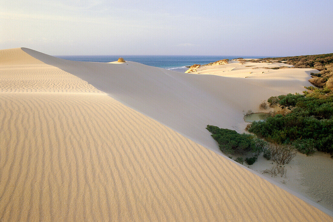 Shifting sand dune, Punta Paloma, near Tarifa, Costa de la Luz, Atlantic Ocean, Province of Cadiz, Andalusia, Spain