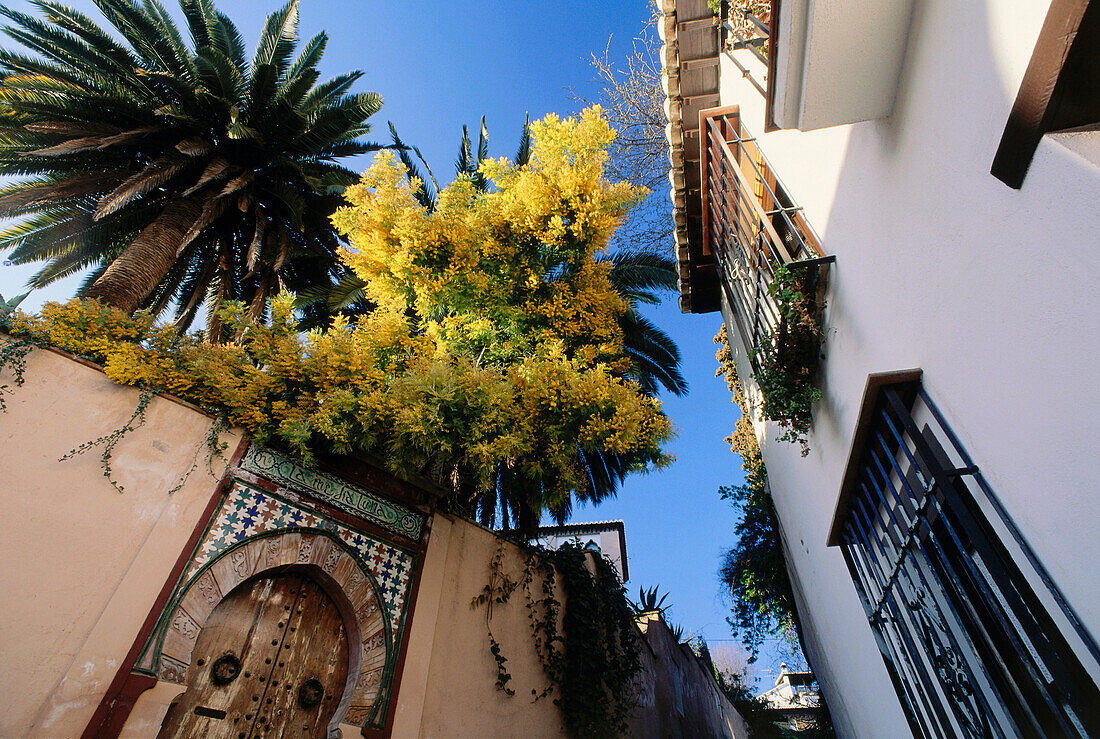 Carmen de la Media Luna, Cuesta de San Gregorio, lane, Albaycin, ancient Arab quarter, Granada, Andalusia, Spain