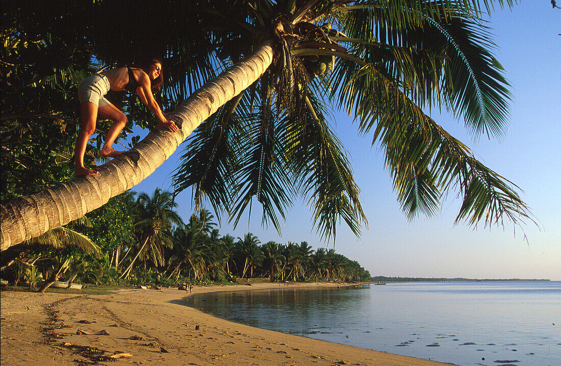 Frau klettert auf eine Palme, Lakana Beach, Ste. Marie, Madagaskar