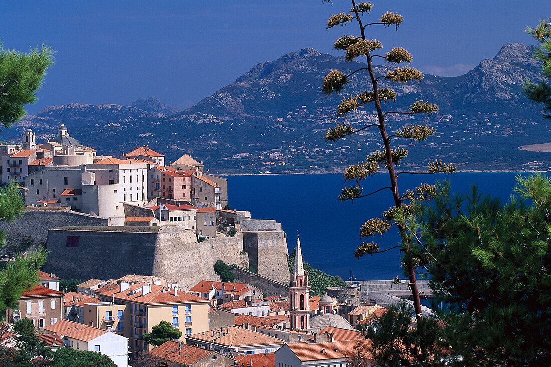 Citadel, Calvi Corsica, Korsika, Frankreich