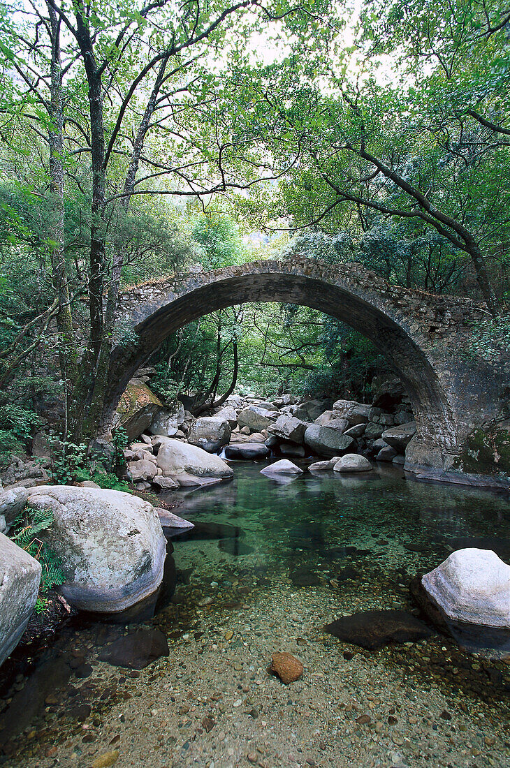 Wanderweg, Pont de Zaglia, Schlucht Spelunca, Korsika, Frankreich
