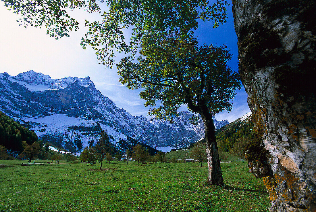 Grosser Ahornboden, near Eng, Tyrol, Austria