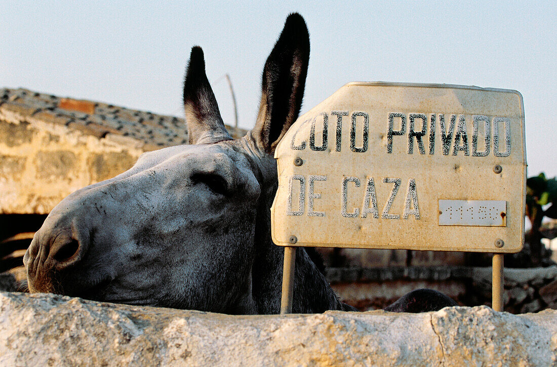 Sign of private hunting area, donkey, Menorca, Minorca, Balearic Islands, Spain