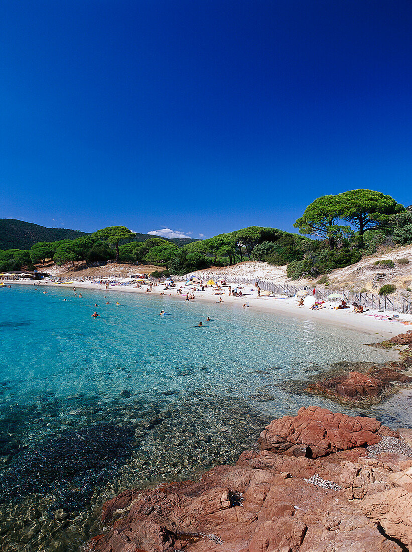 Plage de Palambaggio, Strand bei Porto Vecchio Korsika, Korsika, Frankreich