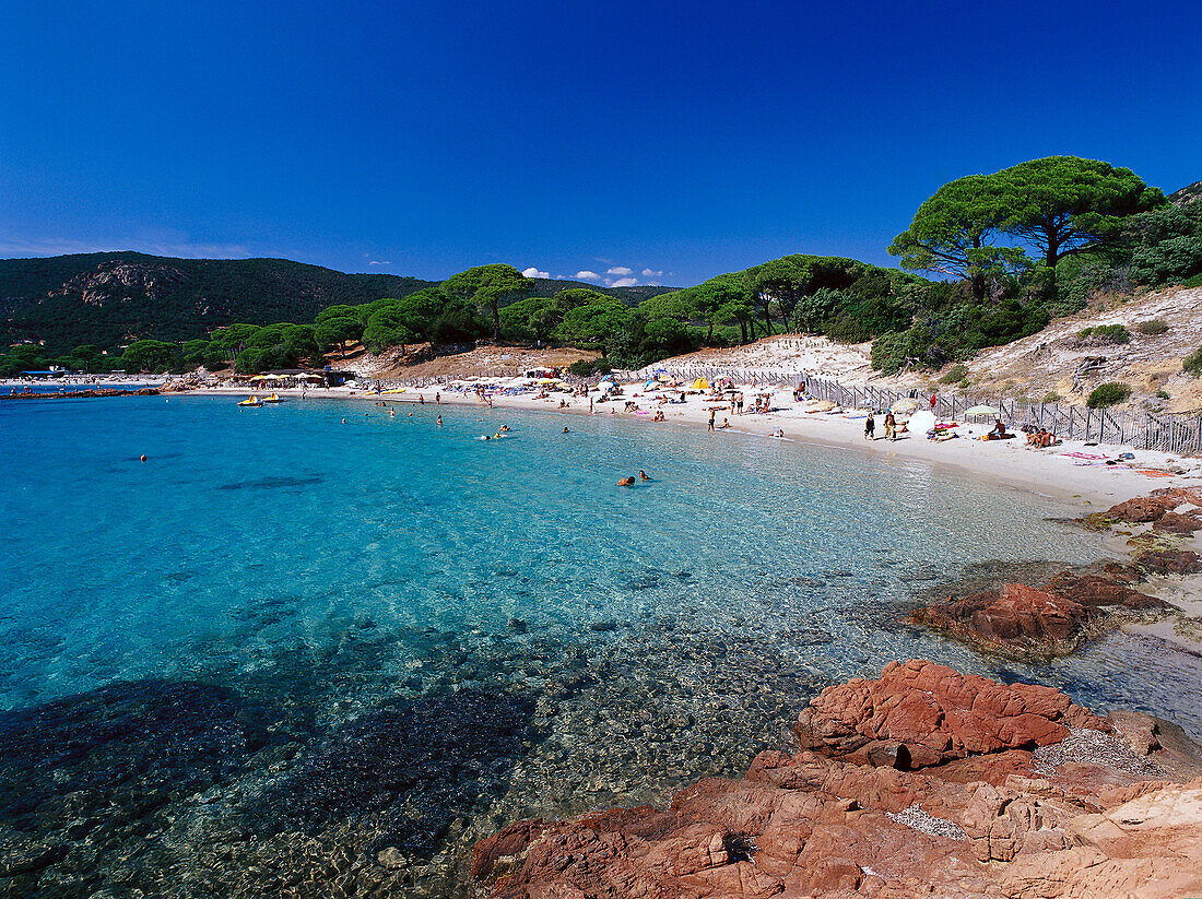 Plage de Palombaggio, Beach, East coast bei Porto-Vecchio Korsika, Korsika, Frankreich