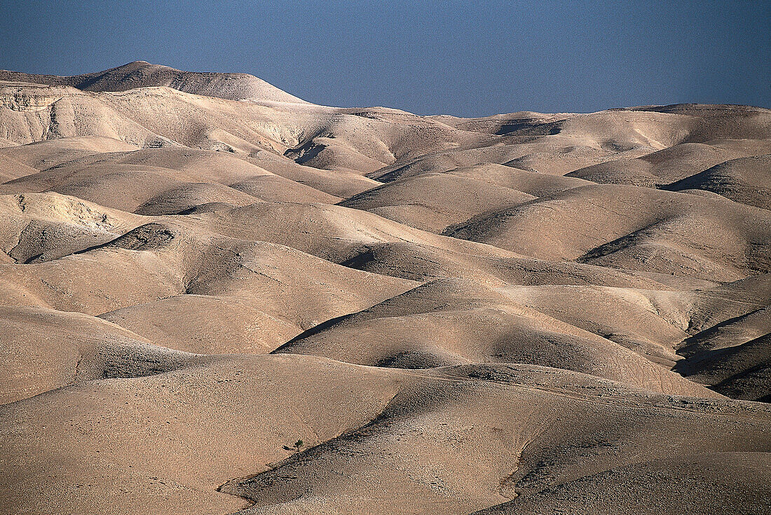 Desert Judaea near Wadi Quilt, Autonom Territory Israel