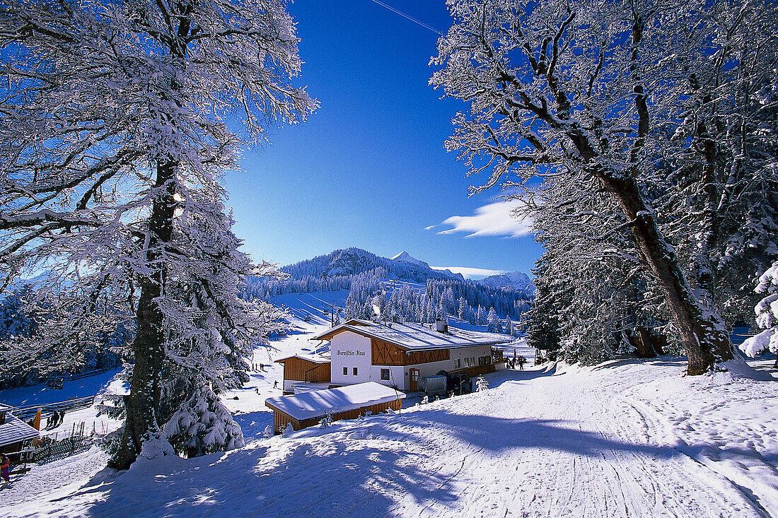 Skiing Region Hausberg, Garmisch-Partenkirchen, Upper Bavaria, Bavaria, Germany