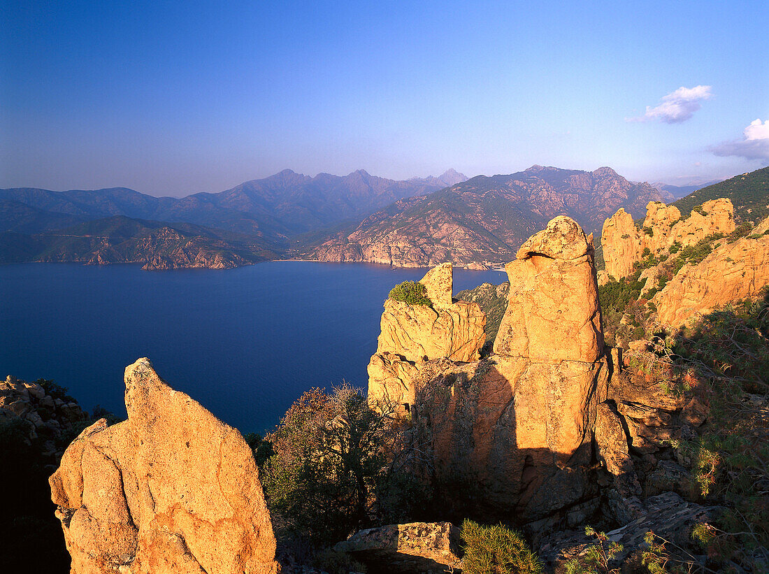 Felsküste, Erosion, Les Calanche bei Porto, Westeküste Korsika, Korsika, Frankreich