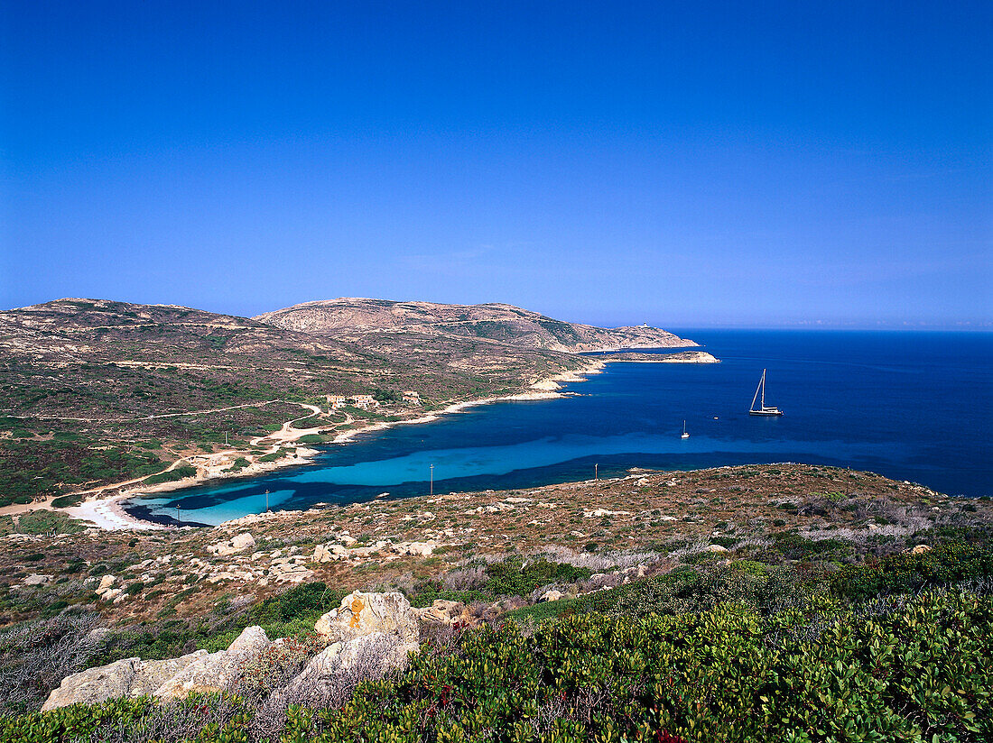 Coastline, Calvi Corsica, France