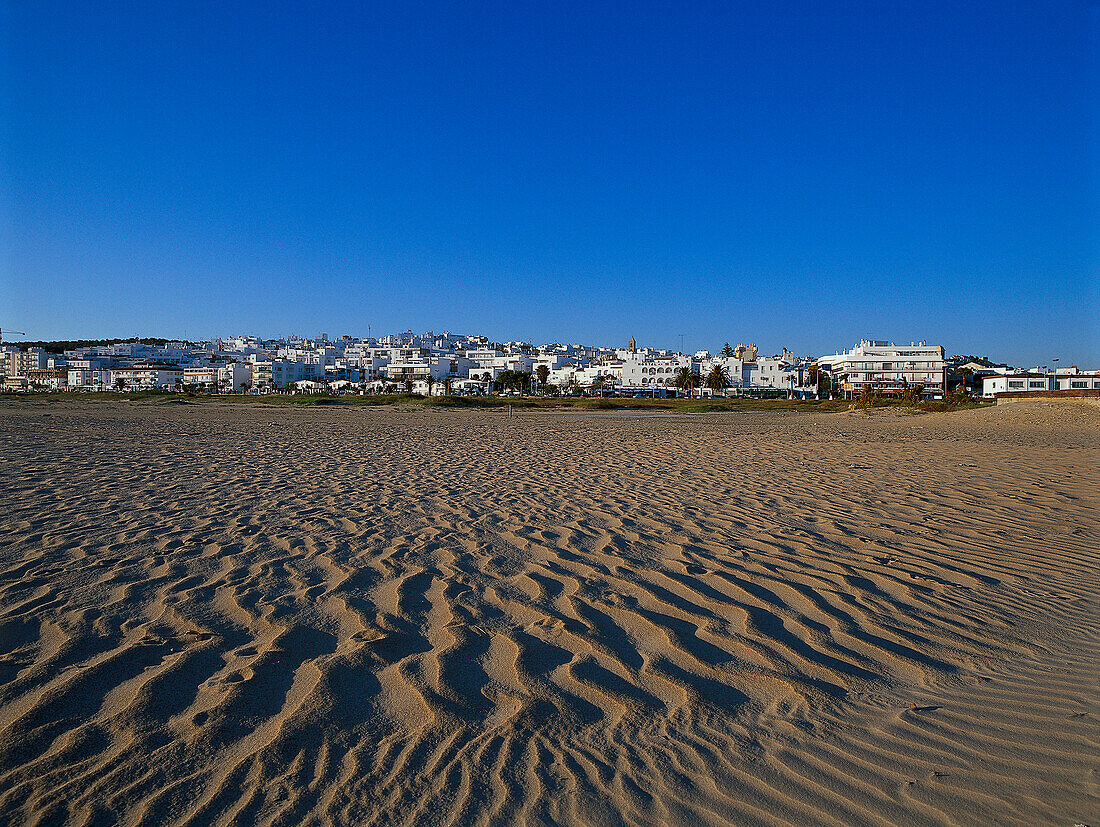 Menschenleerer Strand unter blauem Himmel, Playa de los Bateles, Conil, Costa de la Luz, Provinz Cadiz, Andalusien, Spanien, Europa