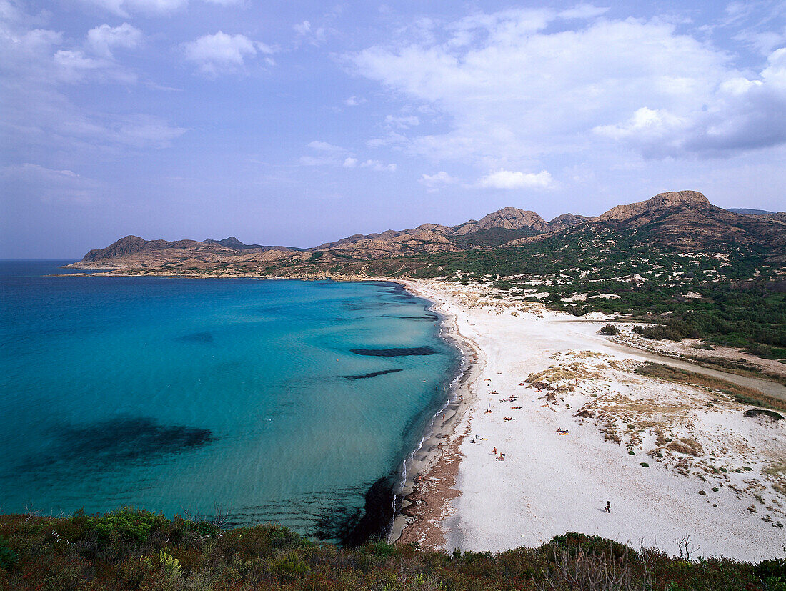 Beach, protected area, Ostriconi, estuary mouth, L'lle Rousse, Corsica, France