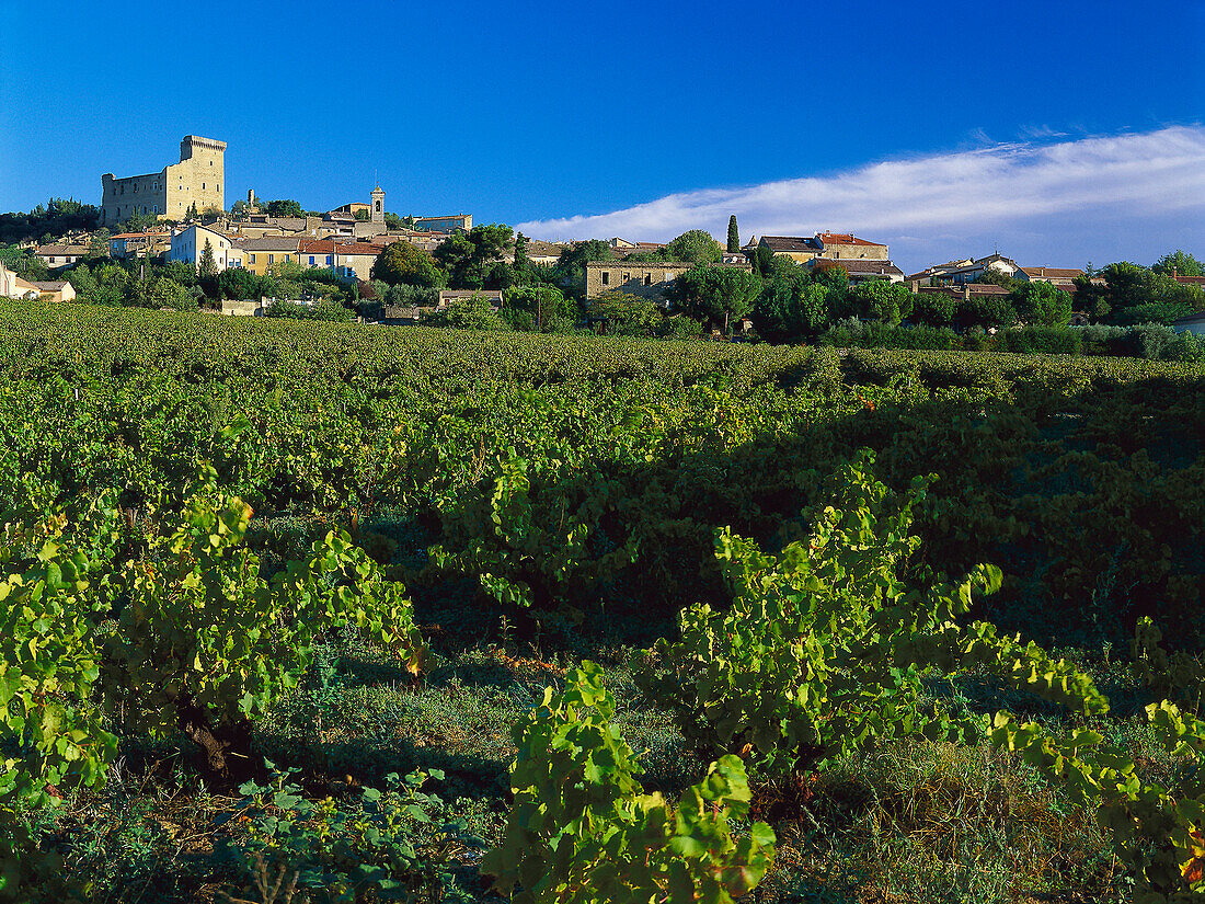 Ruins of the Chateau des Papes at the town of Chateauneuf-du-Pape, Provence, France, Europe