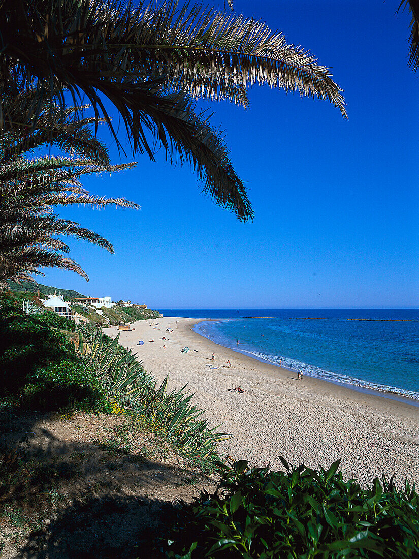 Beach with people under blue sky, Playa Los Canos de Meca, Costa de la Luz, Cadiz province, Andalusia, Spain, Europe