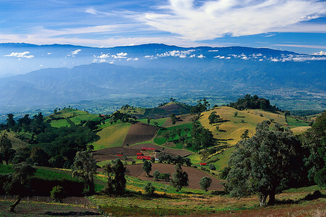 High angle view over fields and trees at Valle Central, Costa Rica, Central America, America