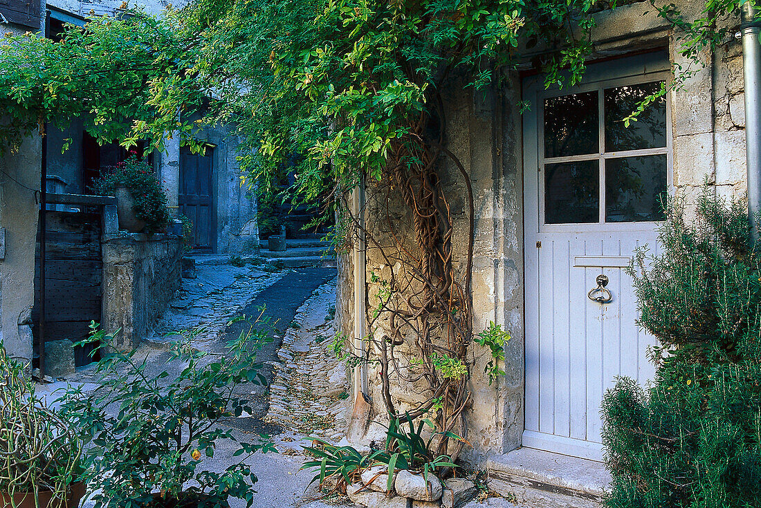 Haustür und Gasse in Lacoste, Luberon, Vaucluse, Provence, Frankreich, Europa