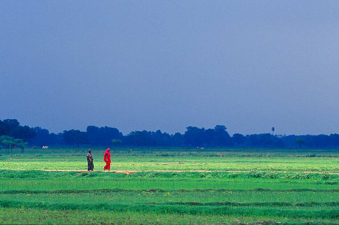 Menschen gehen über Felder, Muzaffarpur, Bihar, Indien, Asien