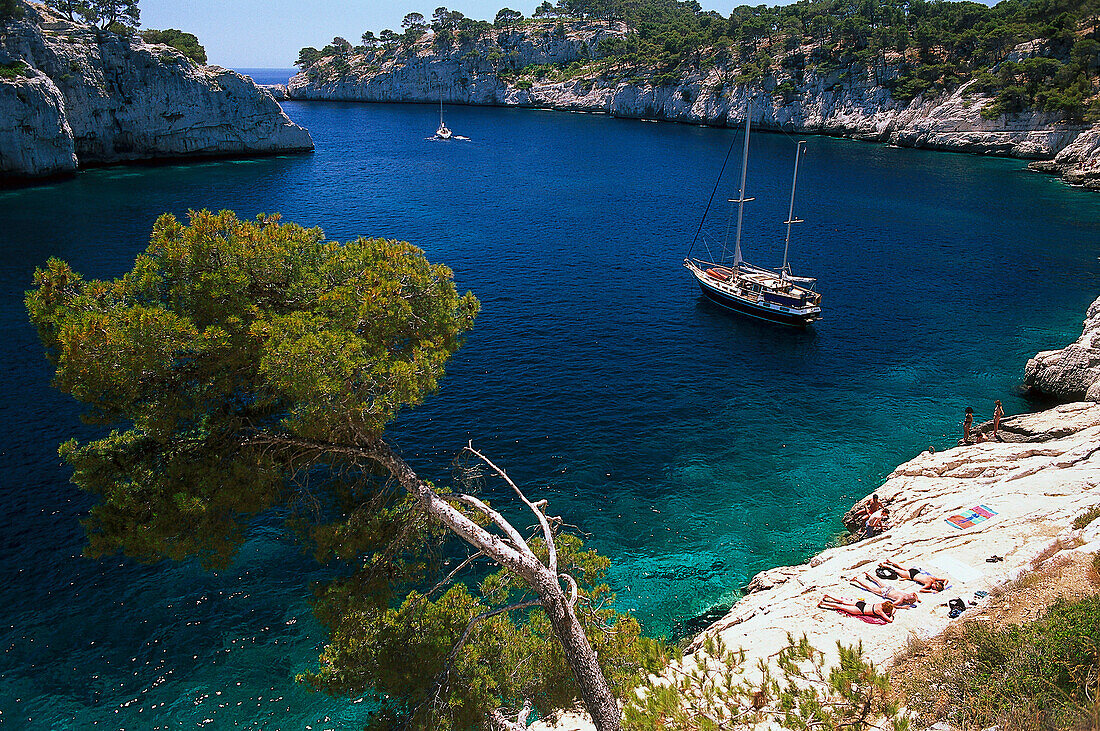 Sunlit bay with sailing boat, Calanque de Port, Miou, Cote d' Azur, Bouches du Rhone, Provence, France, Europe