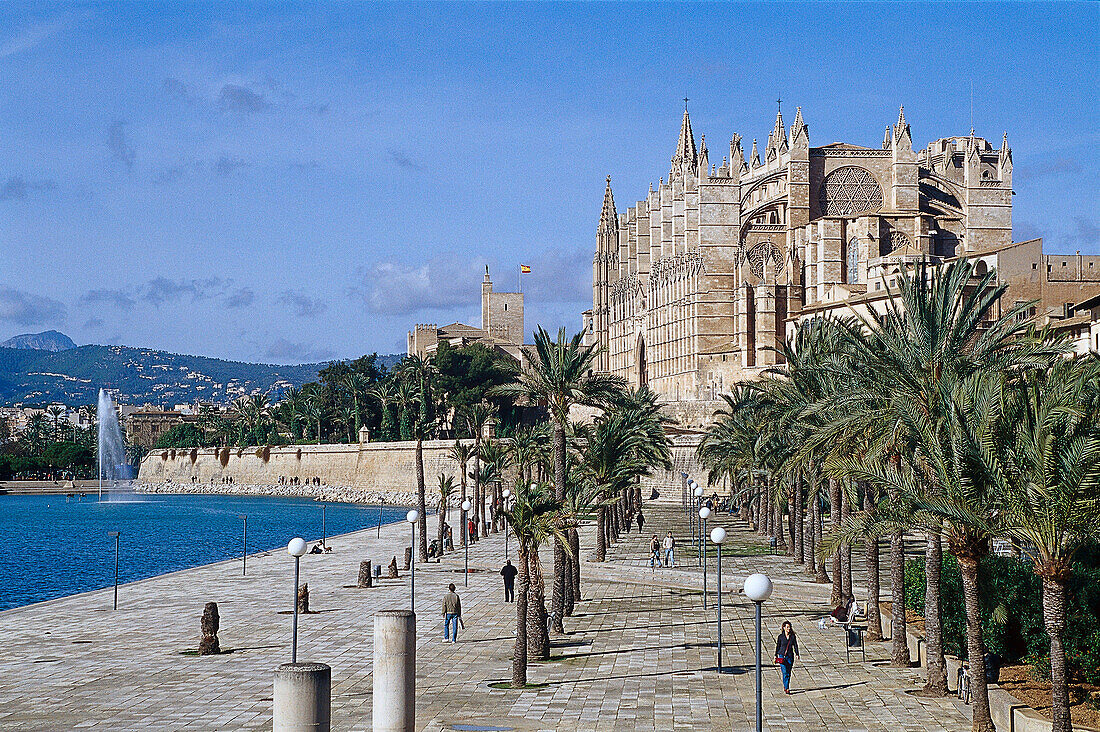 Parc de la Mar, Kathedrale La Séu im Hintergrund, Palma de Mallorca, Mallorca, Spanien