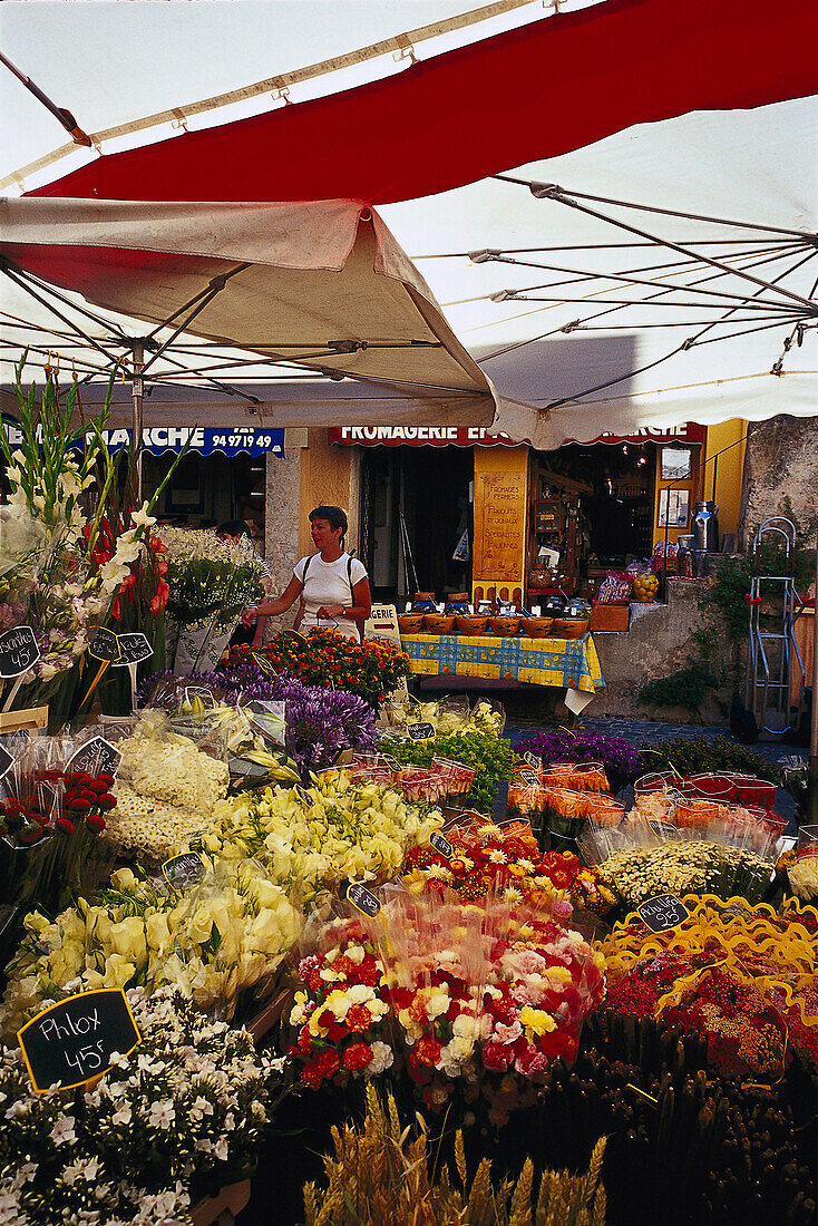 Blumen am Blumenmarkt in St. Tropez, Côte d´Azur, Provence, Frankreich, Europa