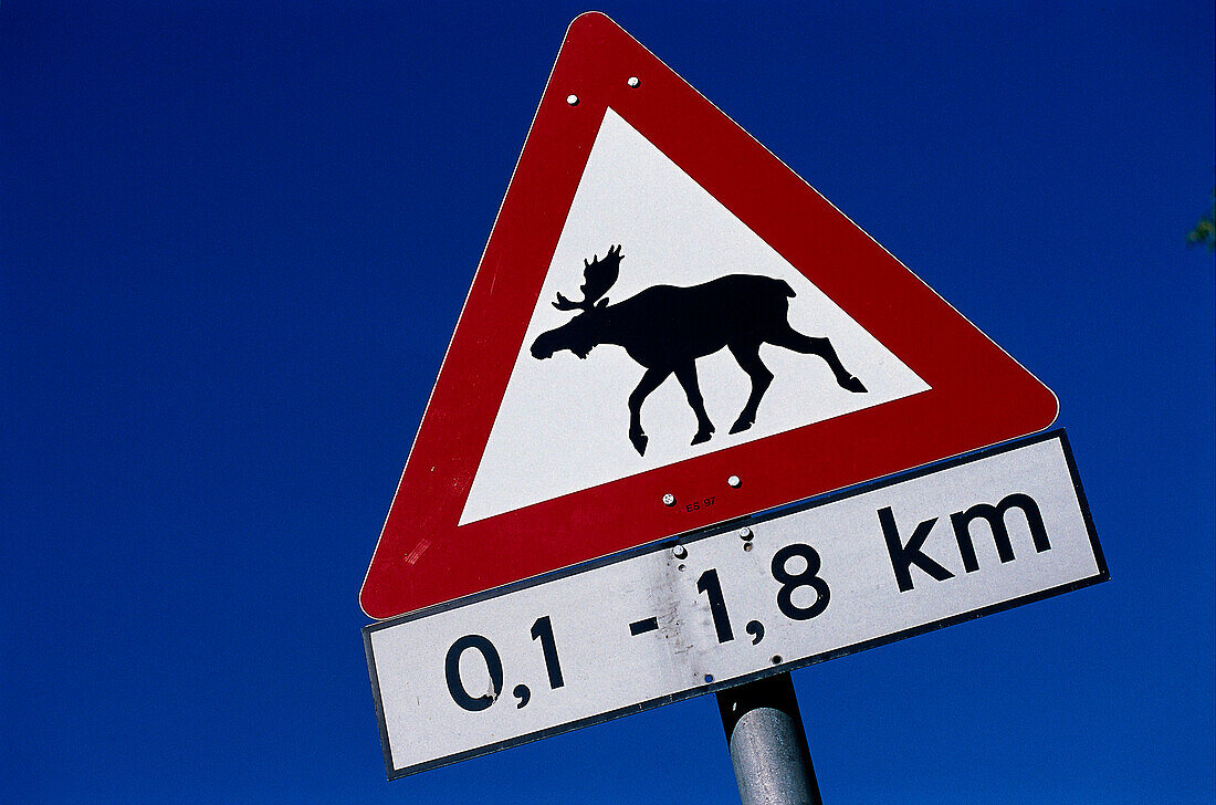 Elk Traffic Sign, Western Middle Norway