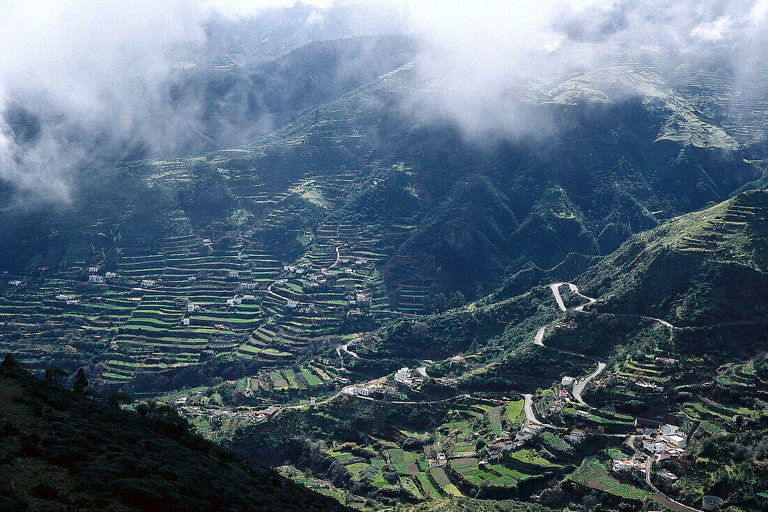 Arinez, Terrace fields, Cruz de Tejada, Gran Canaria, Canary Islands, Spain