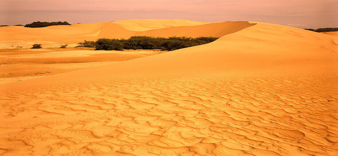 Sand dunes at Medanos de Coro National Park, Venezuela, South America, America