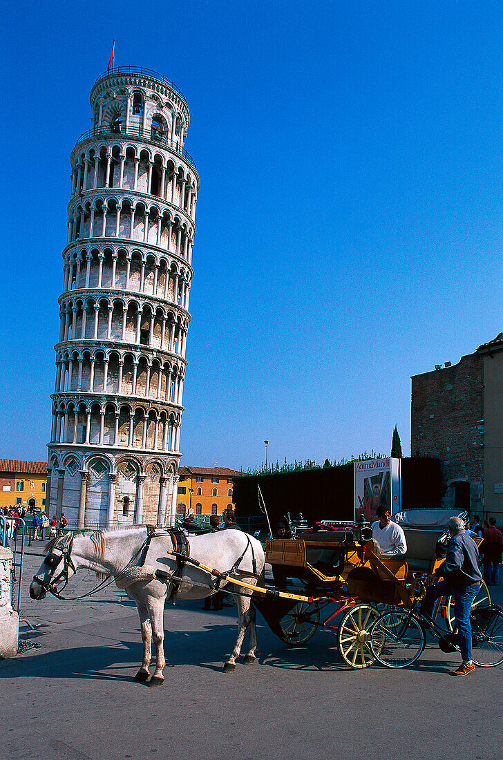 Coach before Leaning Tower, Piazza dei Miracoli, Pisa, Tuscany, Italy