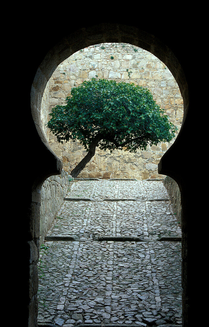 Tor, Rundbogen und Baum, Castillo Trujillo, Prov. Caceres, Extremadura, Spanien