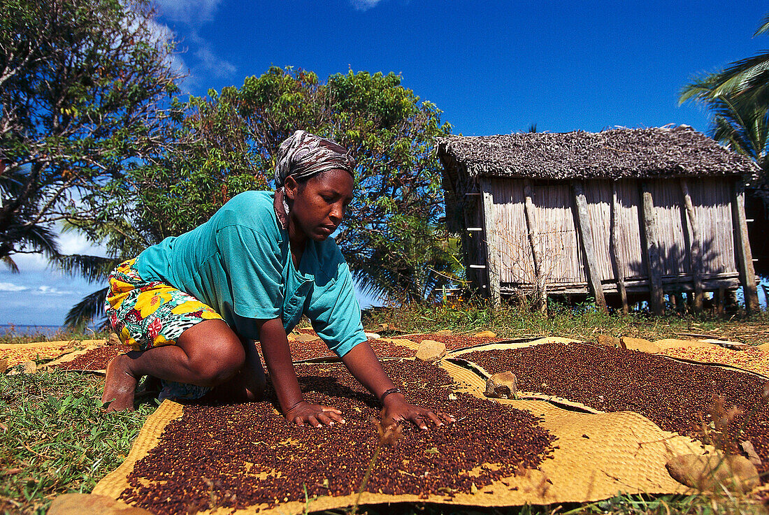 Woman desiccating cloves, Ste Marie, Madagascar