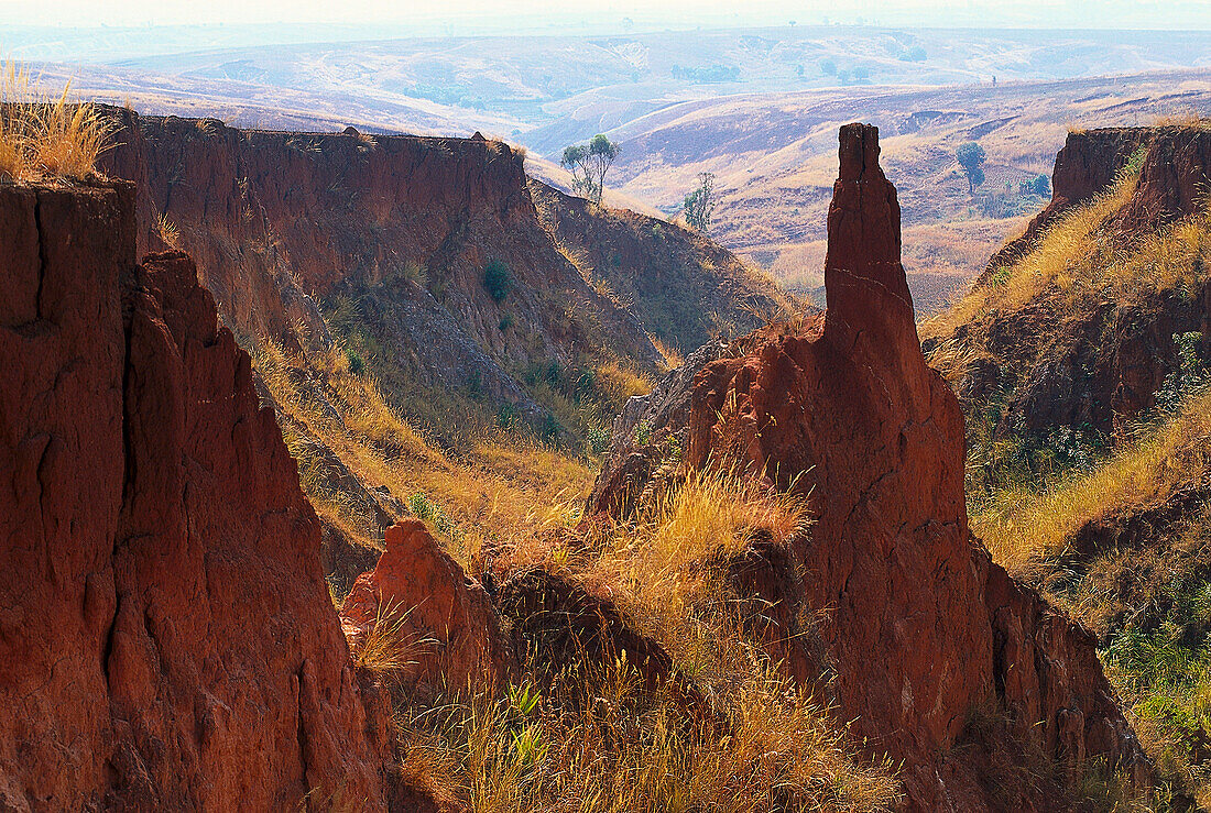 Im Hochland, Osten von Miandrivazo, Madagaskar