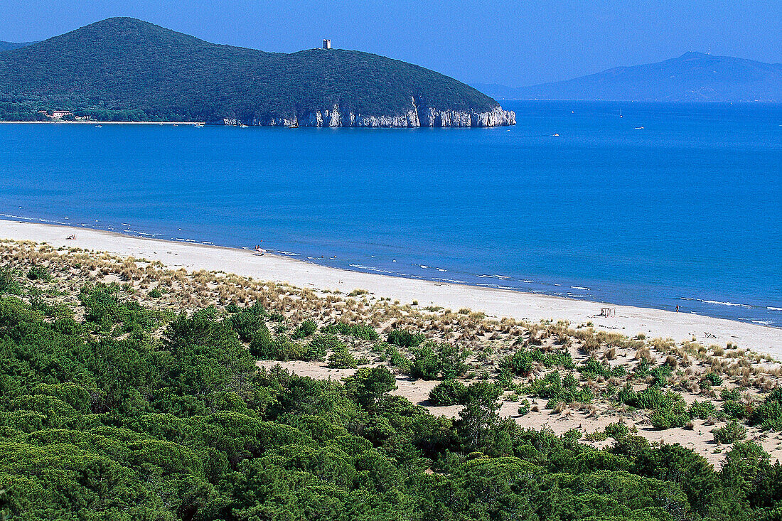 Deserted Beach, Parco Naturale di Maremma Tuscany, Italy