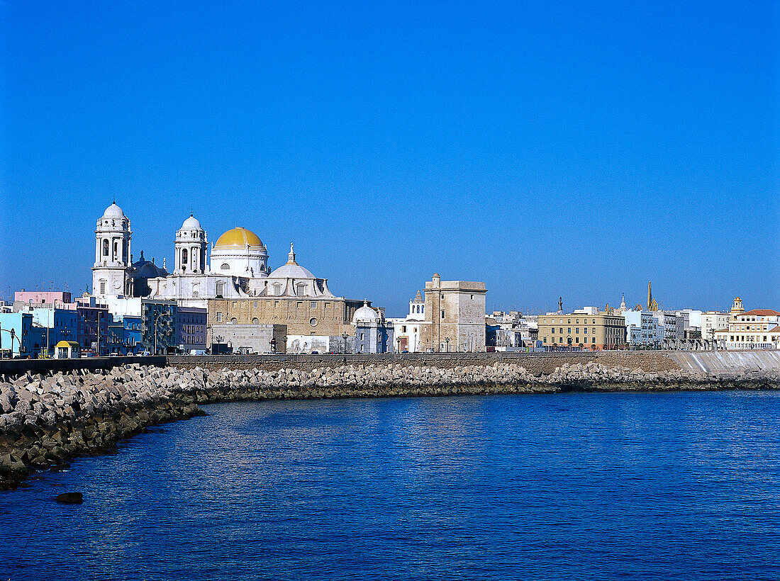 Cityscape and cathedral under blue sky, Cadiz, Andalusia, Spain, Europe