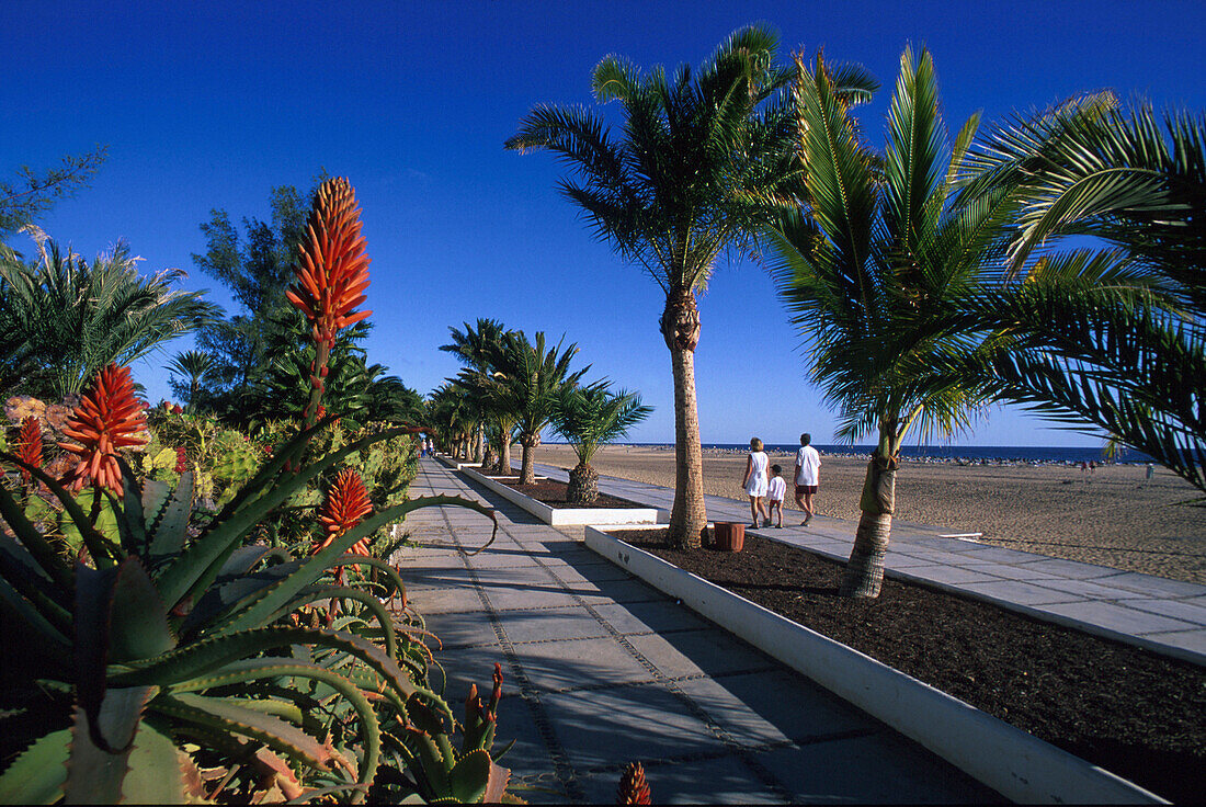 Strandpromenade, Morro Jable, Jandia, Fuerteventura Kanarische Inseln, Spanien