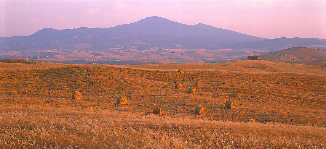 Getreidefelder bei Pienza, Monte Amiata Toskana, Italien