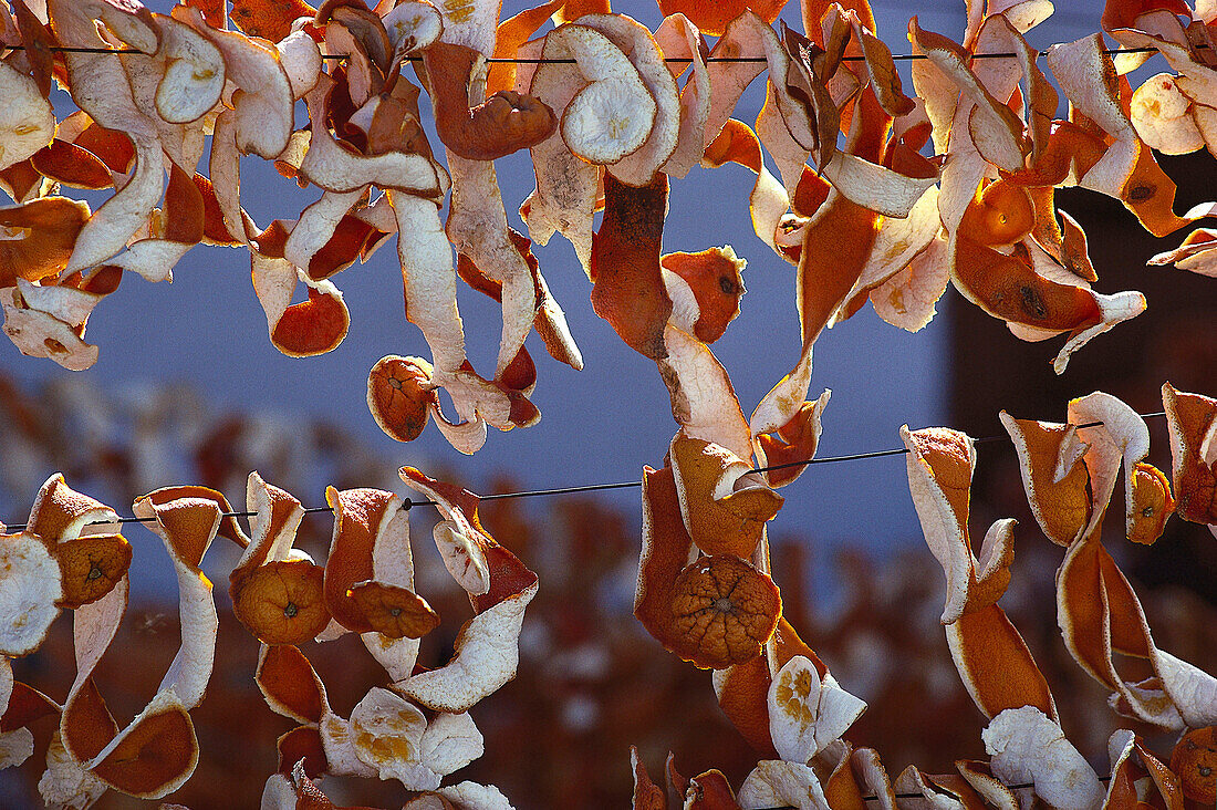 Drying orange peel at Alora village, Province of Malaga, Europa, Andalusia, Spain, Europe